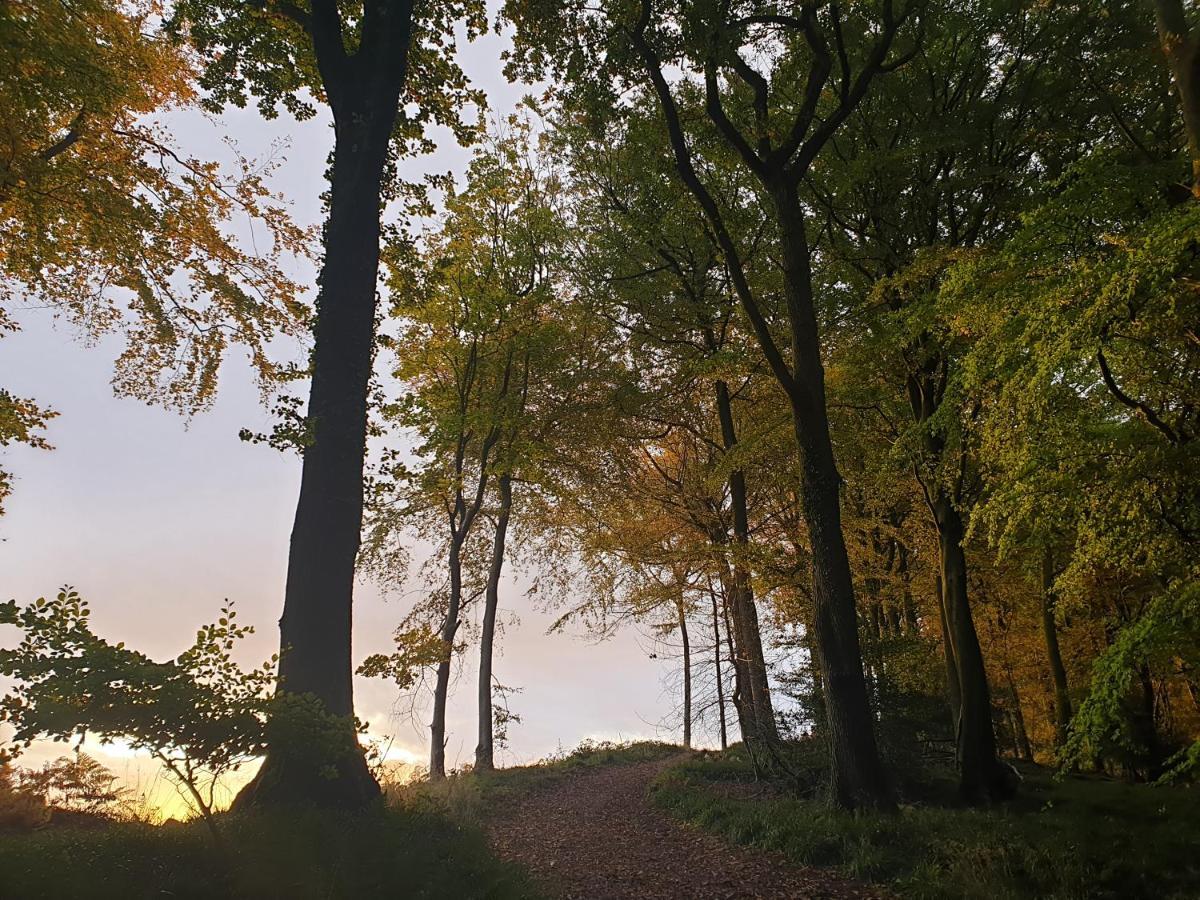 Wye Valley Retreat シェプストウ エクステリア 写真